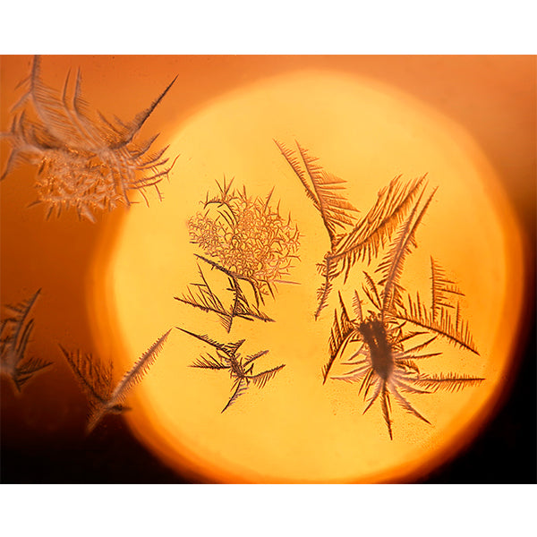 Frost Formations Photo Print