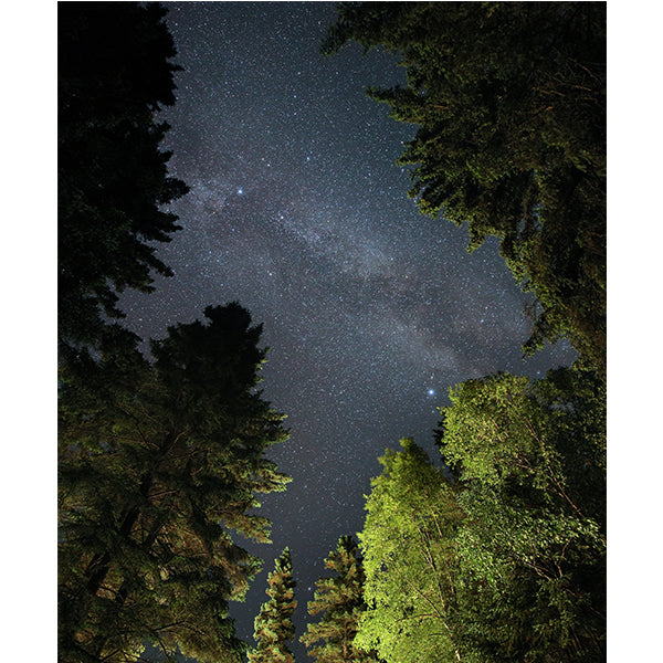 Milky Way Night Sky Photo Print