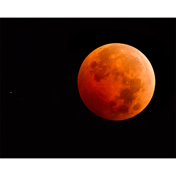 Blood Hue Photo Print
