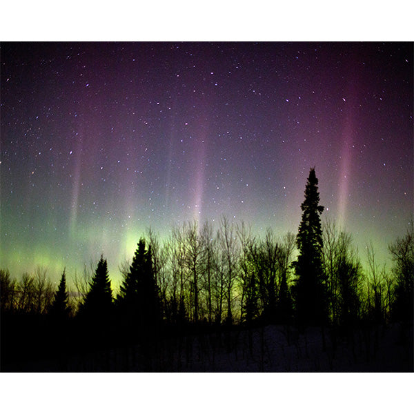 Arrowhead Northern Lights Photo Print