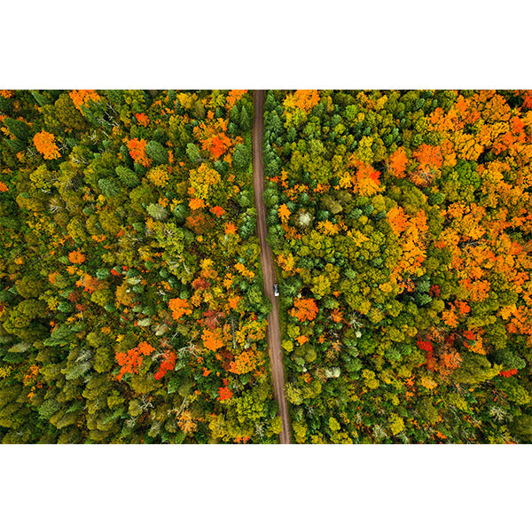 Lutsen Colors Photo Print