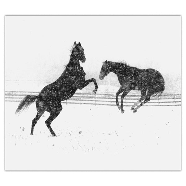 Dancing Horses in the Snow Photo Print