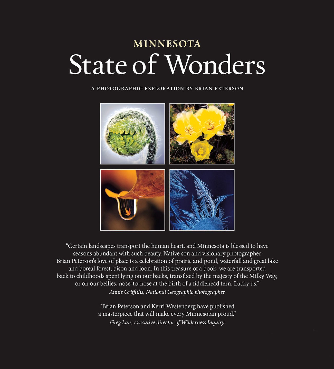 State of Wonders Book