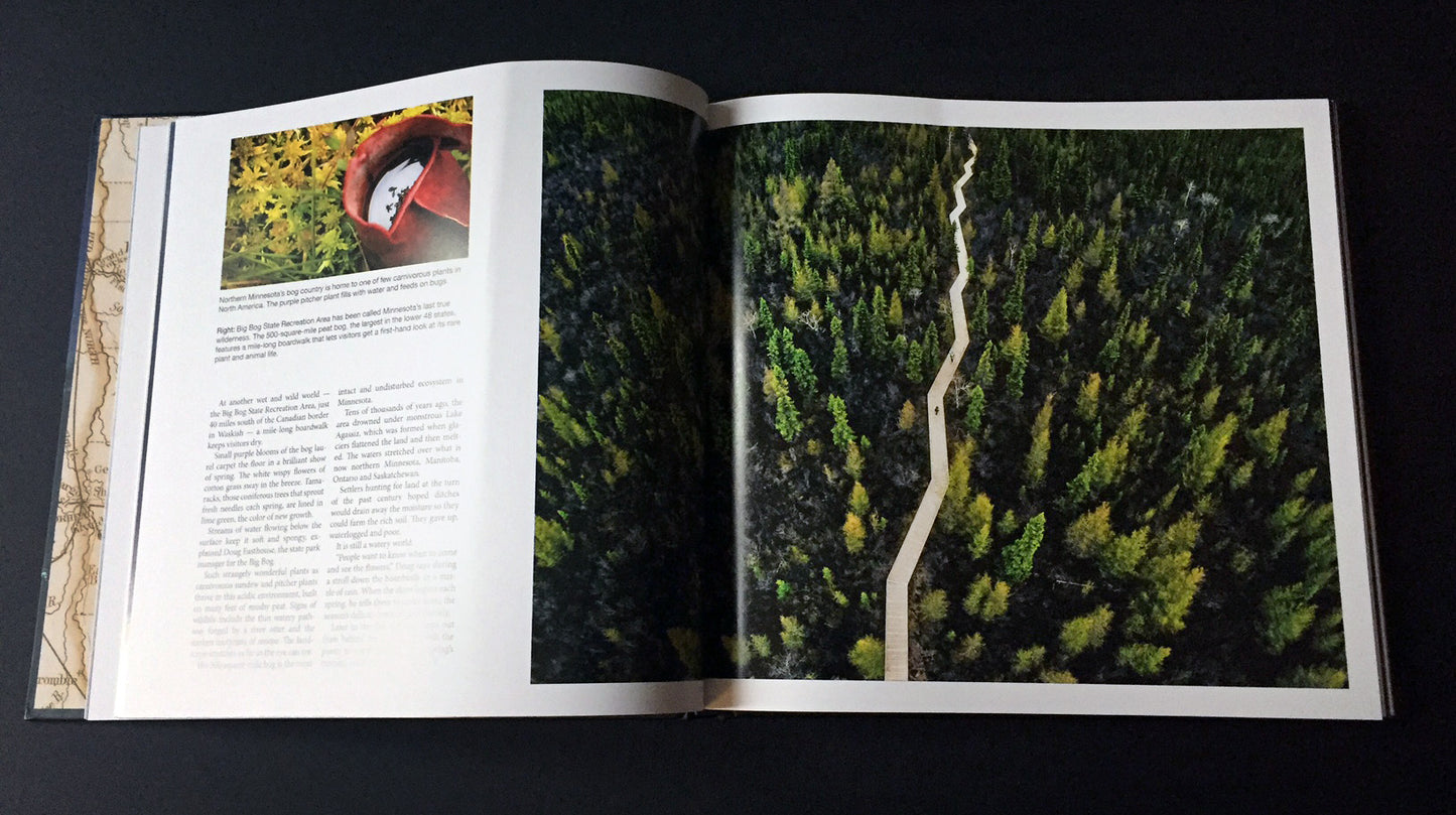 State of Wonders Book