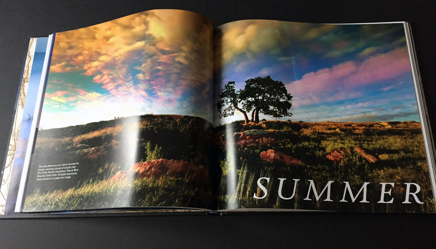 State of Wonders Book