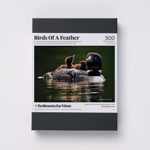 "Birds of a Feather" Loon Family Jigsaw Puzzle