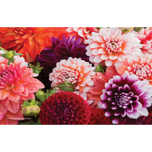 "Farm Stand Florals" Minnesota Flowers Jigsaw Puzzle