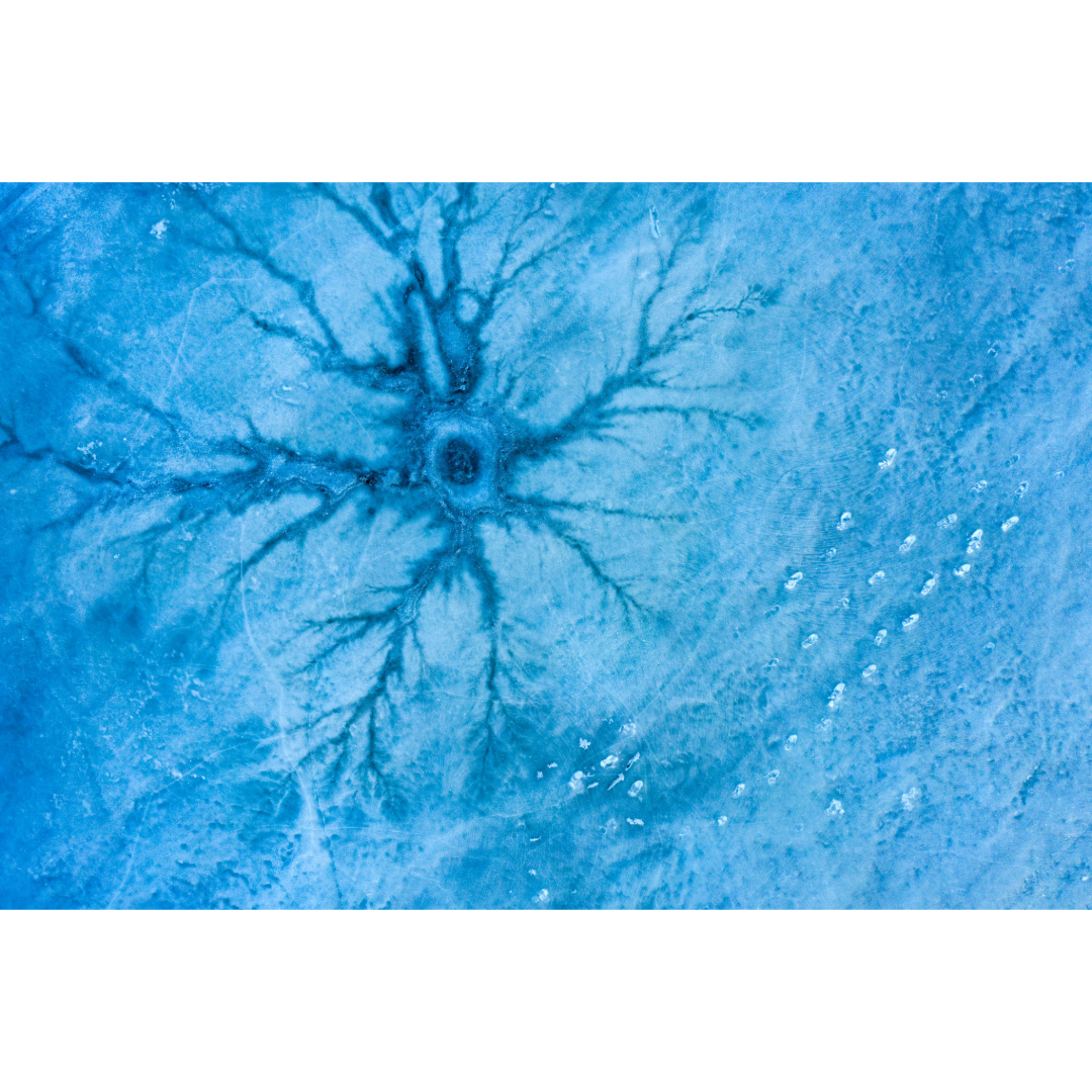 Lake Ice Rosettes in Cotton Minnesota Photo Print