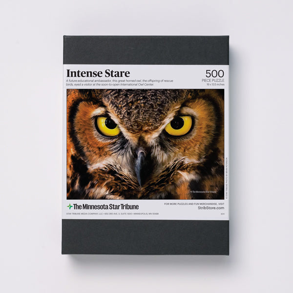 "Intense Stare" Horned Owl Jigsaw Puzzle