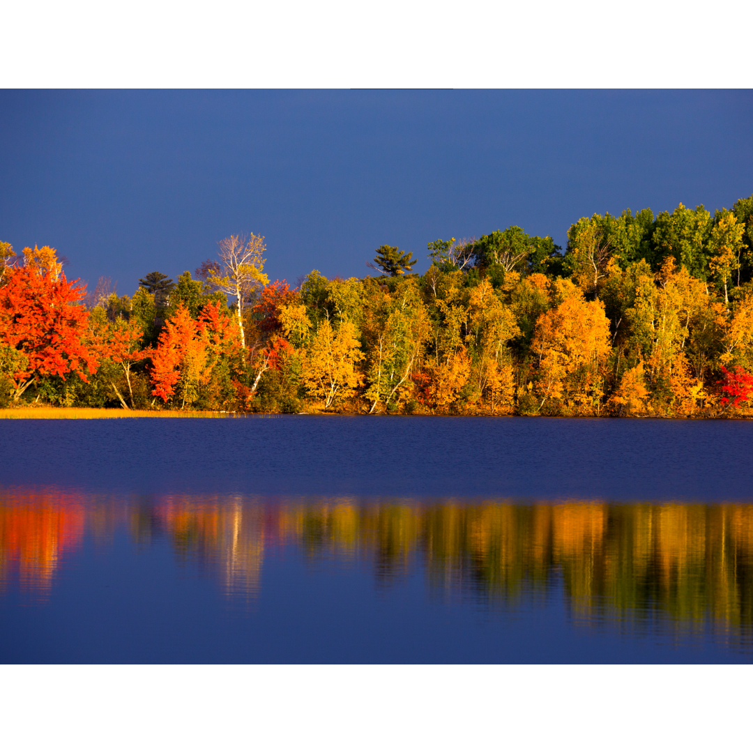 Lake Reflections Photo Print