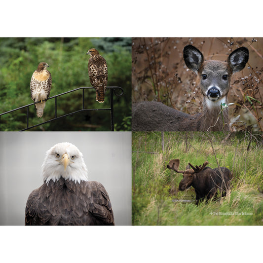 Northwoods Wildlife Jigsaw Puzzle