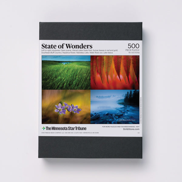 State of Wonders Jigsaw Puzzle