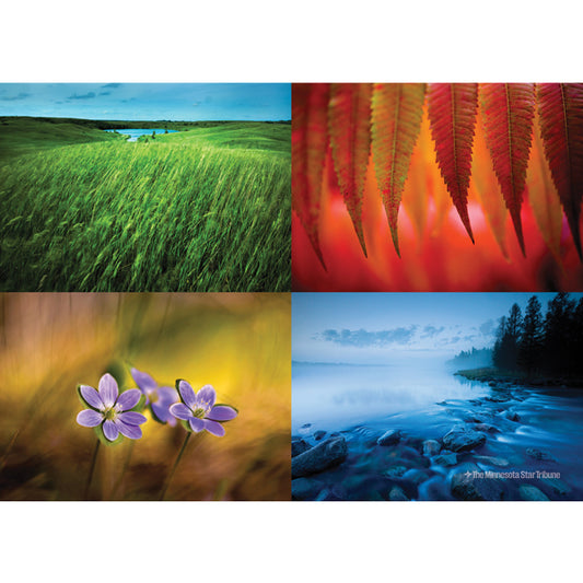 State of Wonders Jigsaw Puzzle