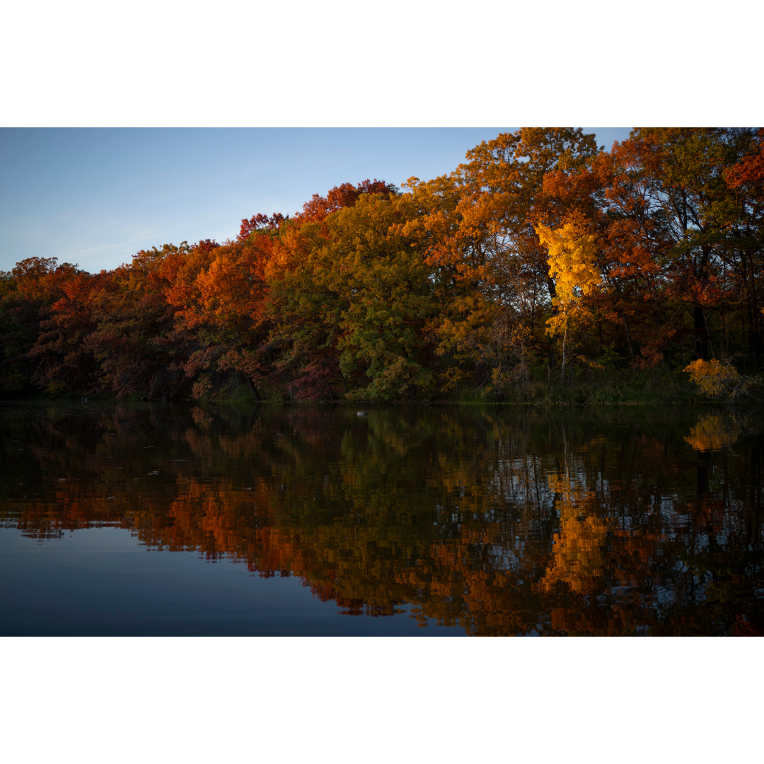 Silverwood Park Fall Colors Photo Print