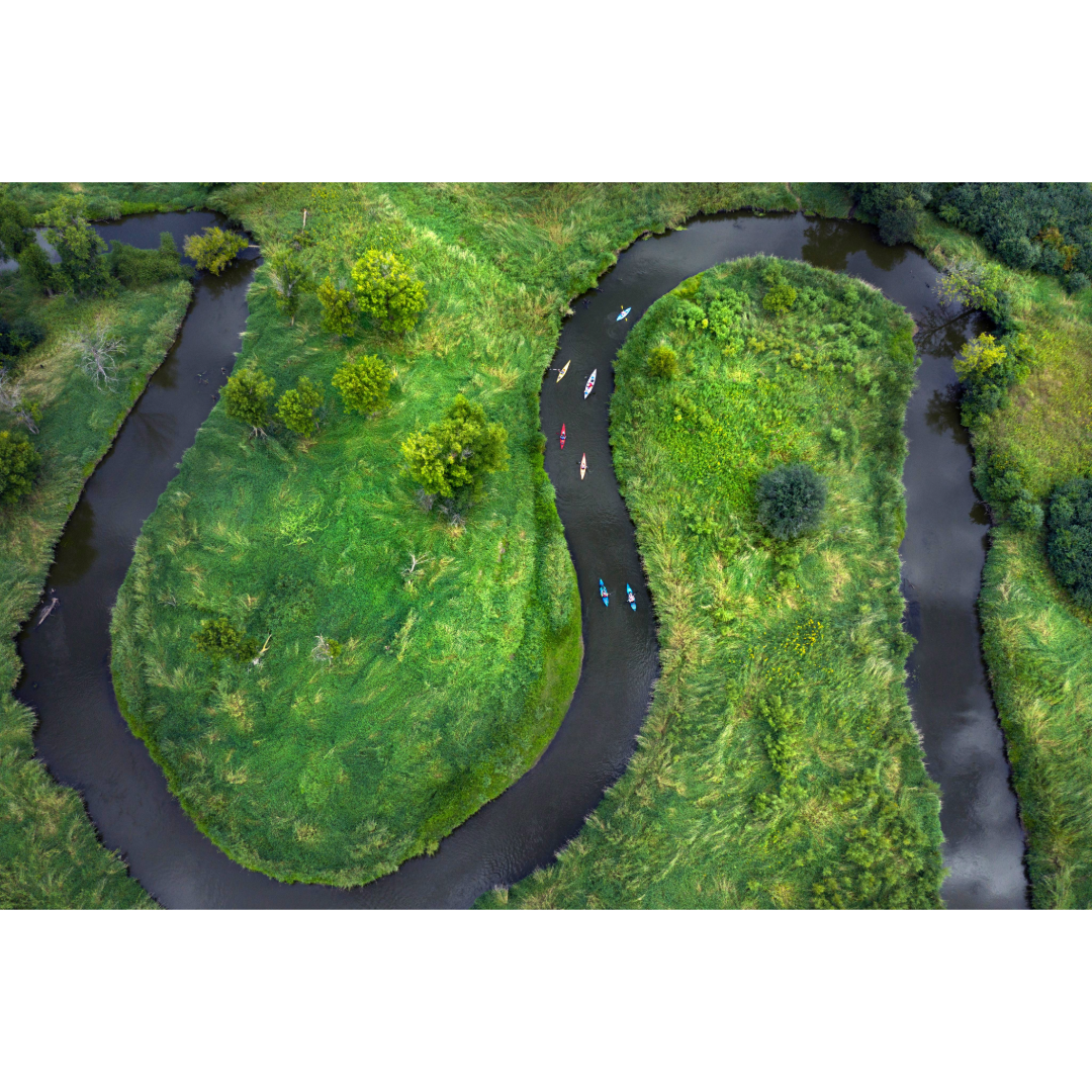 Rice Creek Kayakers Photo Print
