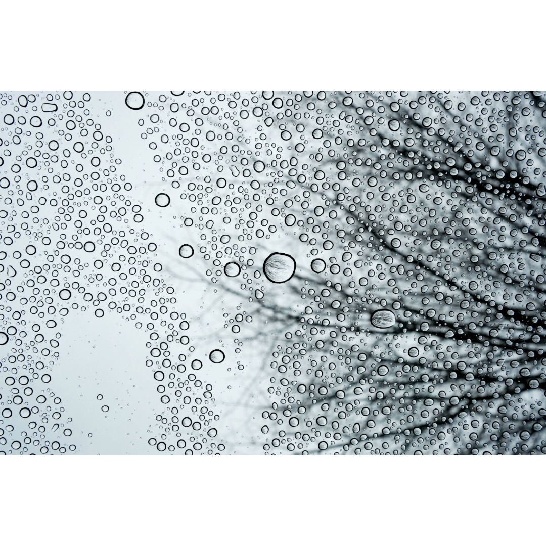 Raindrops Photo Print