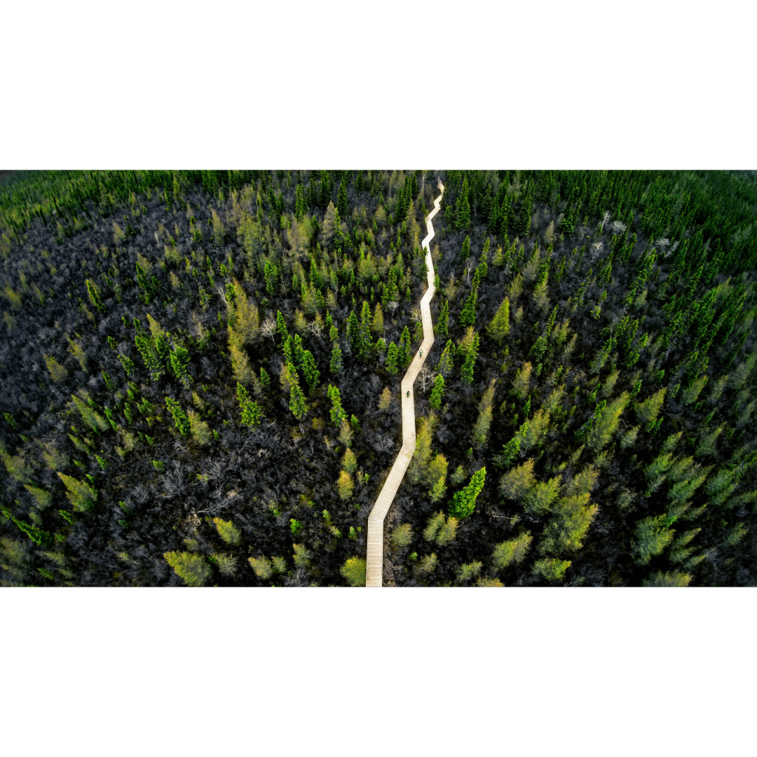 Big Bog State Recreation Area Photo Print