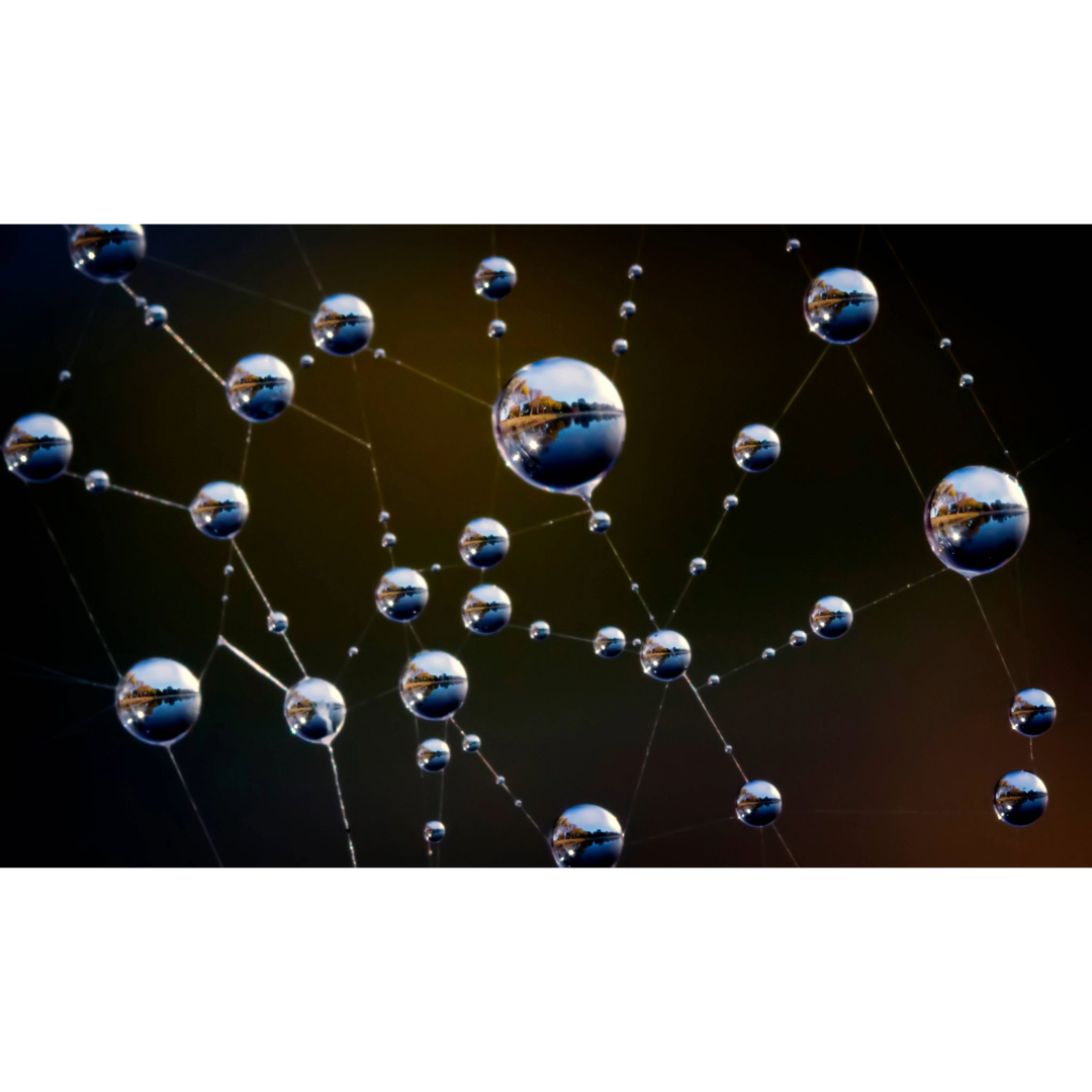 Dew Drops Web Photo Print