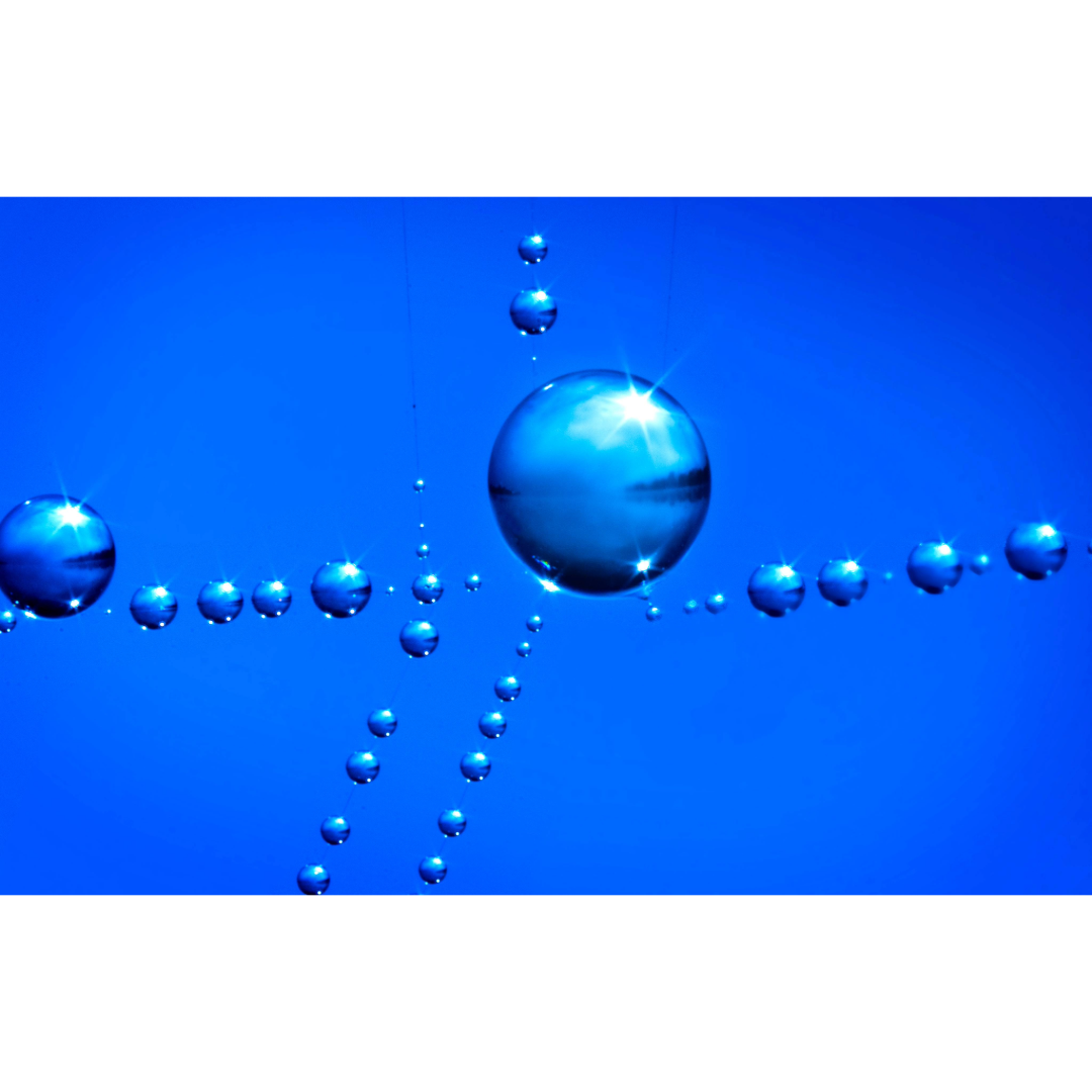 Lake Winona Water Drops Photo Print