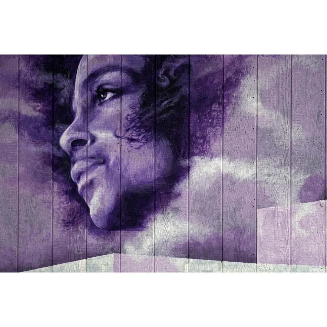 State Fairgrounds Prince Mural Photo Print