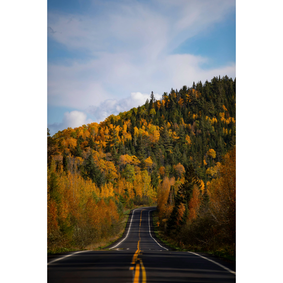 Gunflint Trail Fall Colors Photo Print