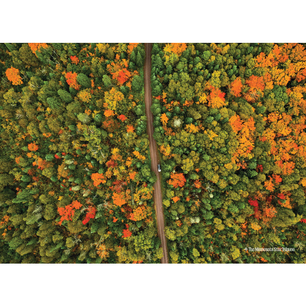 "Fall Foliage" North Shore Jigsaw Puzzle (500 pieces)
