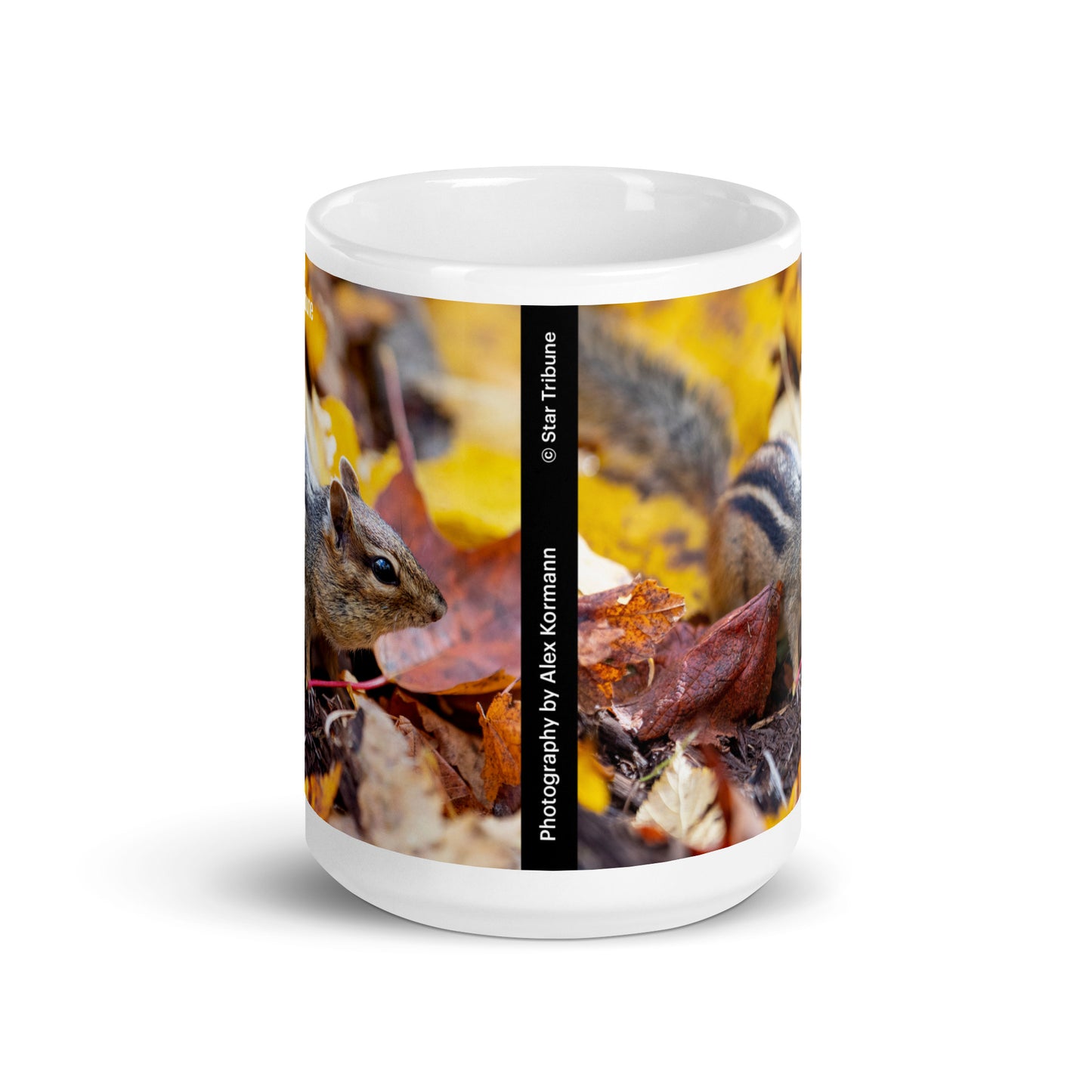 Chipmunk in the Leaves Mug