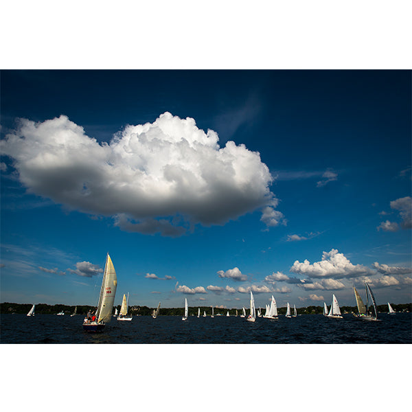 Sailboats on Minnetonka Photo Print