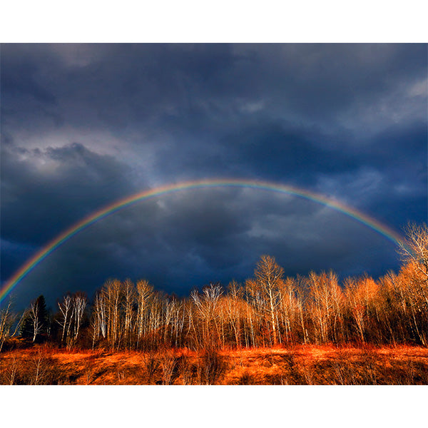 Spring Landscape Photo Print