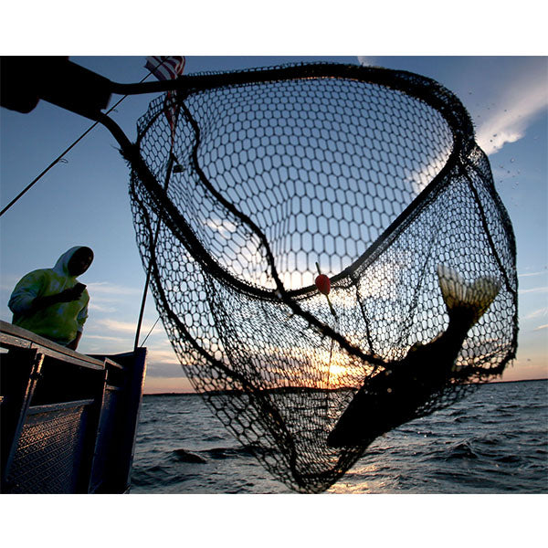 Walleye Fishing Photo Print