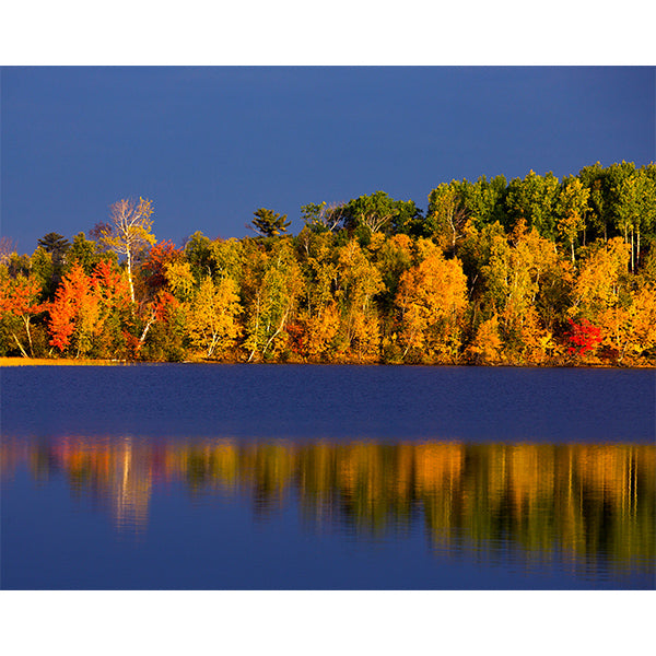 Lake Reflections