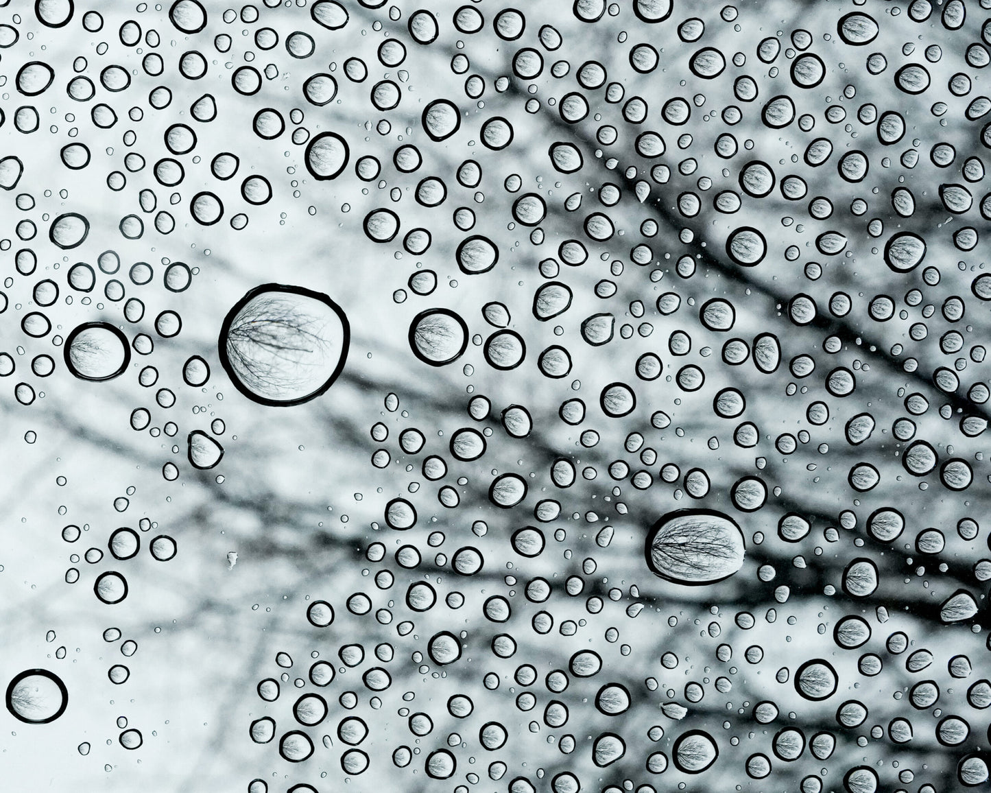 Raindrops - Framed Photo Print