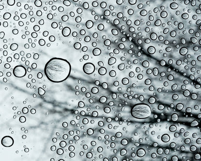 Raindrops - Framed Photo Print