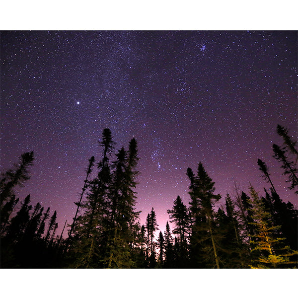 Winter Constellations Photo Print