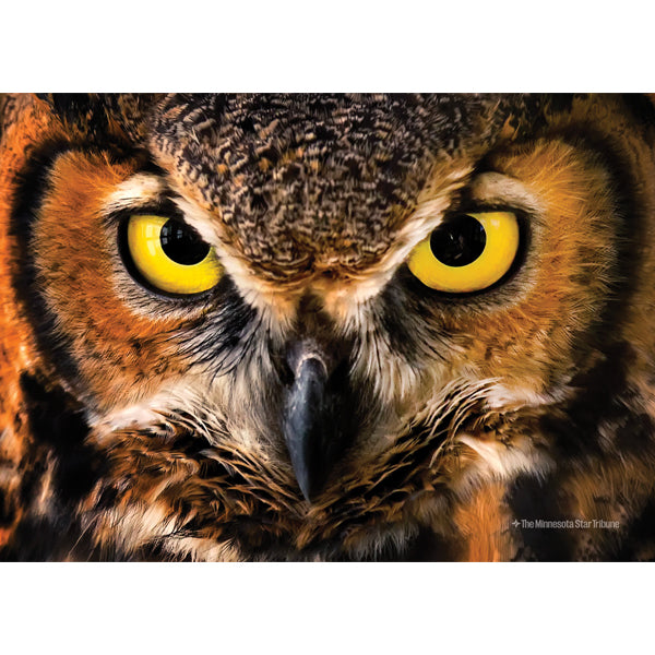 "Intense Stare" Horned Owl Jigsaw Puzzle