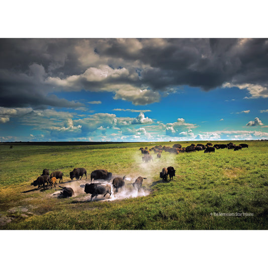 "Roaming Free" Bison at Blue Mounds Jigsaw Puzzle