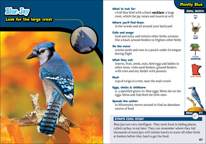 The Kids’ Guide to Birds of Minnesota