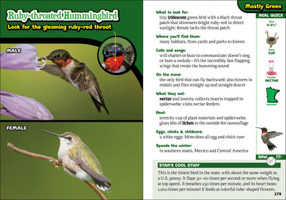 The Kids’ Guide to Birds of Minnesota