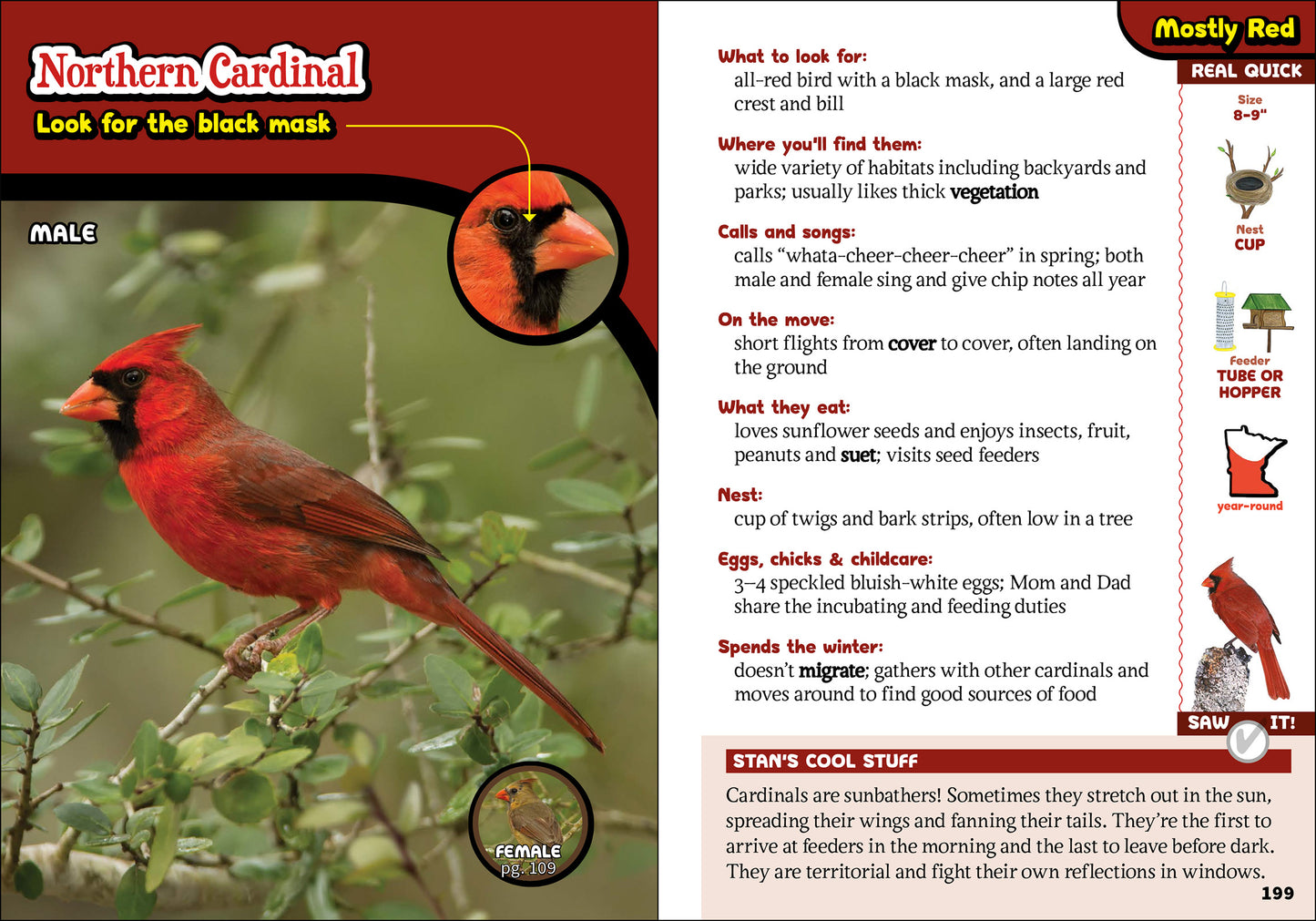 The Kids’ Guide to Birds of Minnesota