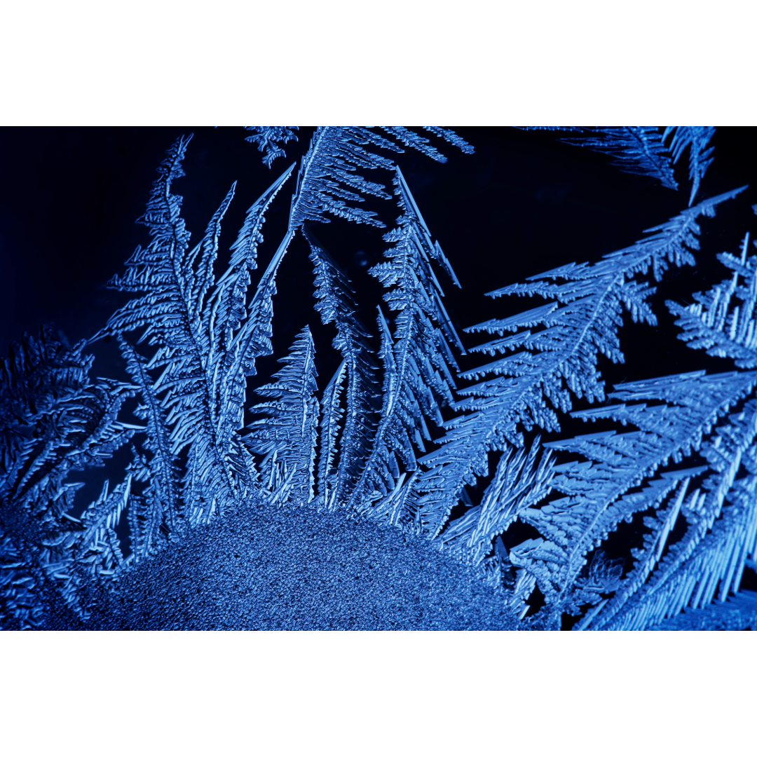Frosted Window Photo Print