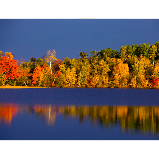 Lake Reflections - Photo Print