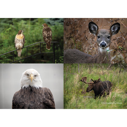 Northwoods Wildlife Jigsaw Puzzle