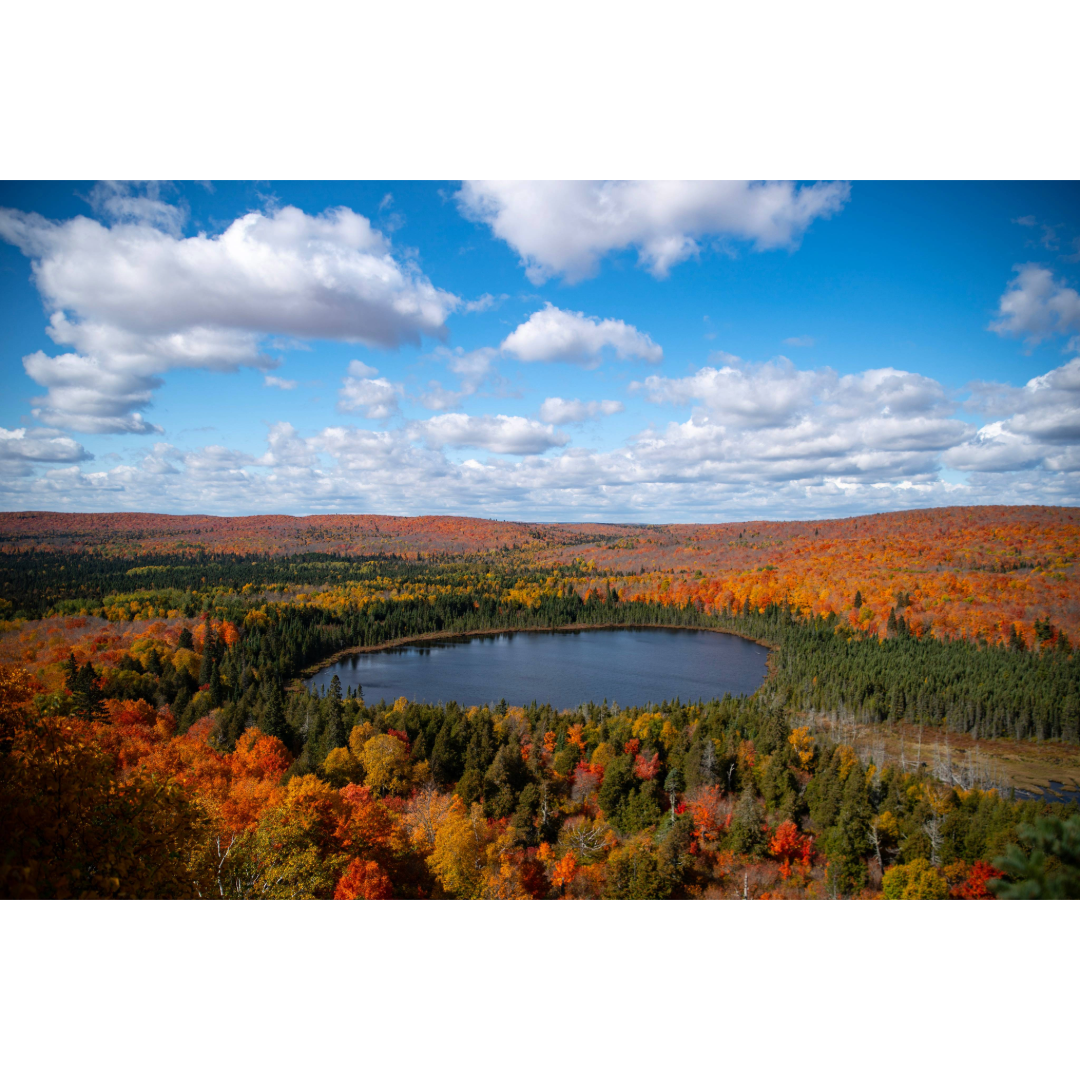 Oberg Lake Fall Foliage Photo Print