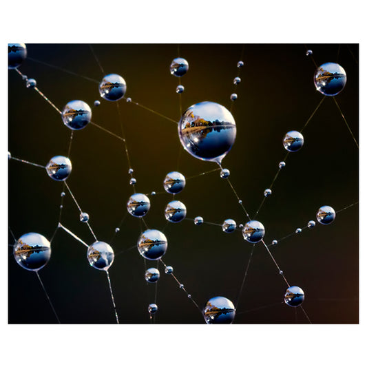 Dew Drops Web