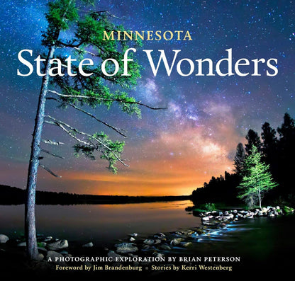 State of Wonders Book