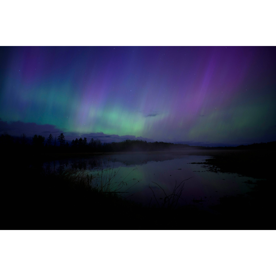 Northern Lights Over St. Croix State Forest Photo Print – Strib Store ...