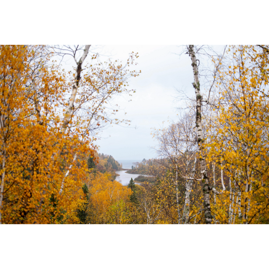 Autumn in Gooseberry Falls Photo Print