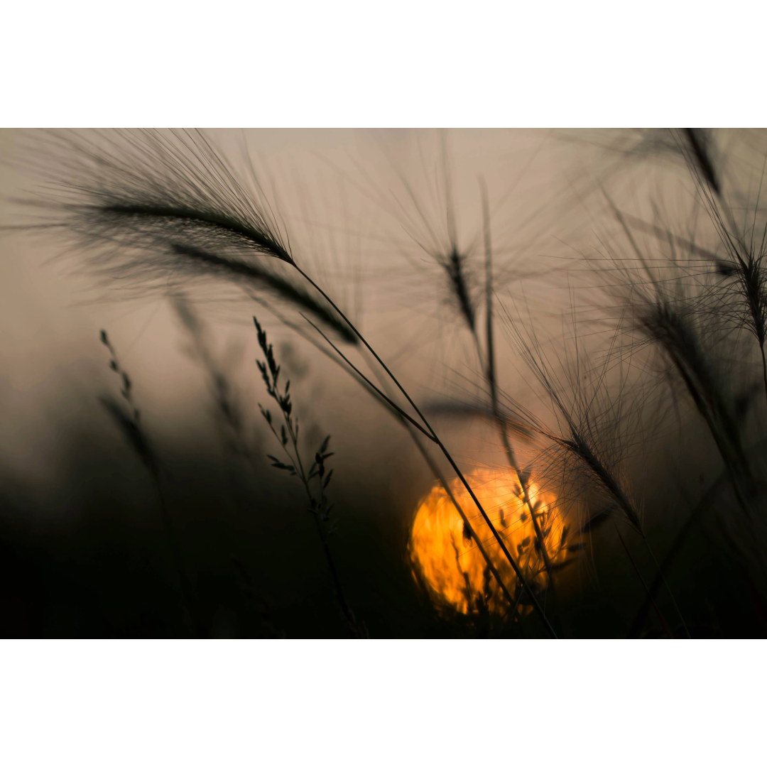 Smokey Prairie Sunset Photo Print