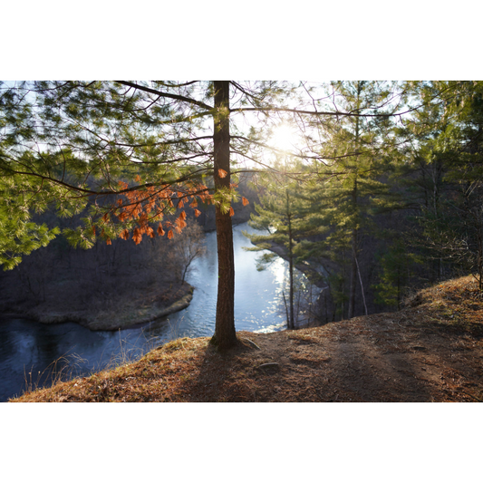 Wild River State Park Photo Print