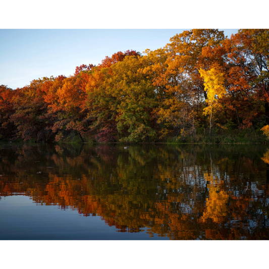 Silverwood Park Fall Colors Photo Print